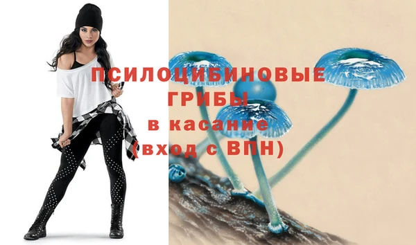mdpv Александровское