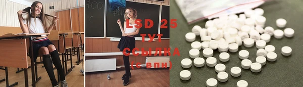 спиды Кукмор