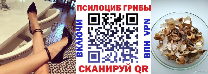 Псилоцибиновые грибы прущие грибы  Раменское 
