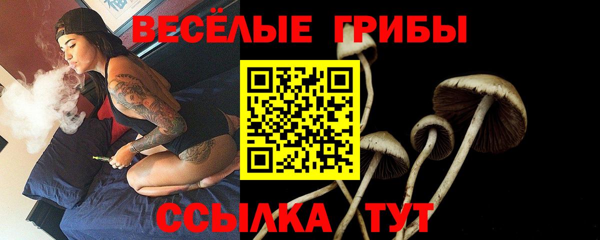 Галлюциногенные грибы прущие грибы  Вход с VPN  Галлюциногенные грибы прущие грибы  Раменское 